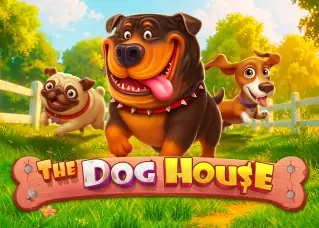 slot wallet เว็บตรง The Dog House ทดลองเล่นฟรี